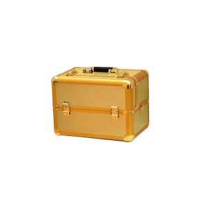 Βαλιτσάκι Χειρός TC-3367R Gold